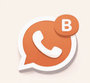 whatsapp my business